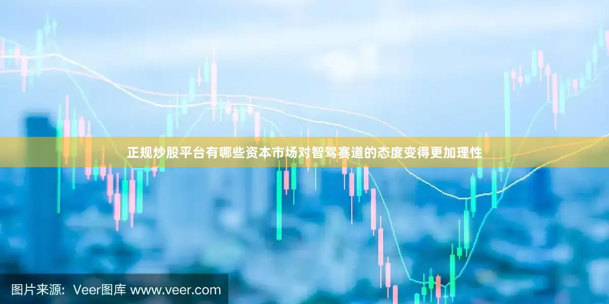 正规炒股平台有哪些资本市场对智驾赛道的态度变得更加理性