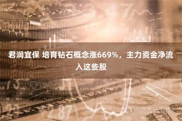 君润宜保 培育钻石概念涨669%，主力资金净流入这些股