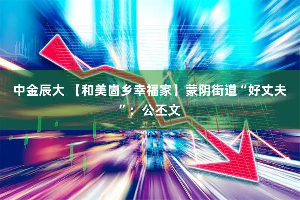 中金辰大 【和美崮乡幸福家】蒙阴街道“好丈夫”：公丕文