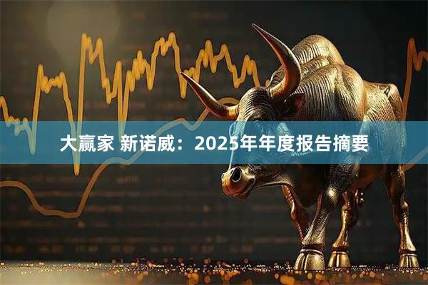大赢家 新诺威：2025年年度报告摘要